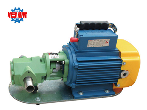 WCB齿轮油泵-WCB自吸齿轮油泵-WCB便携式手提齿轮油泵